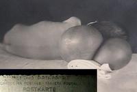 IMG 10