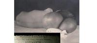 IMG 10